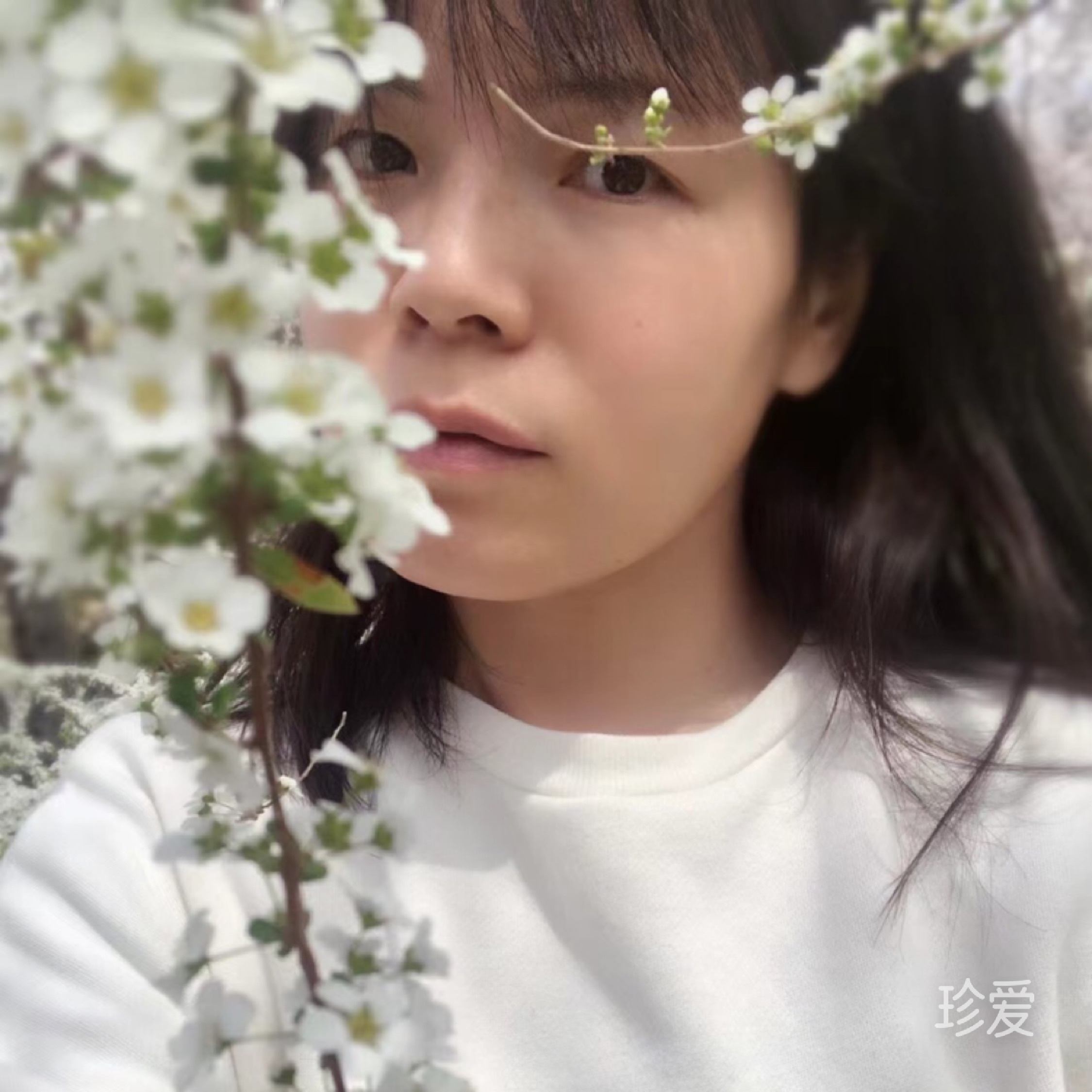 尋找不迷茫的未來(lái)