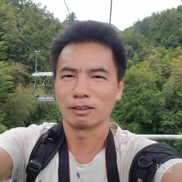 风华如故