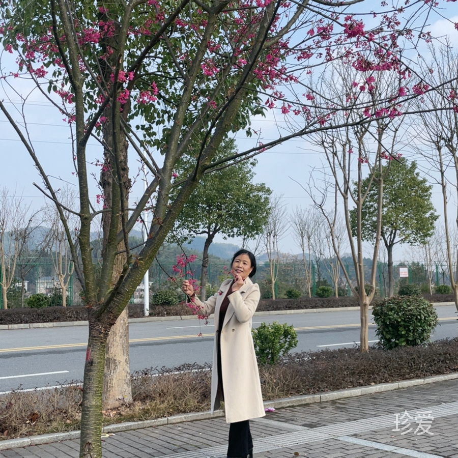 芳草萋萋鹦鹉洲