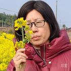 生如夏花