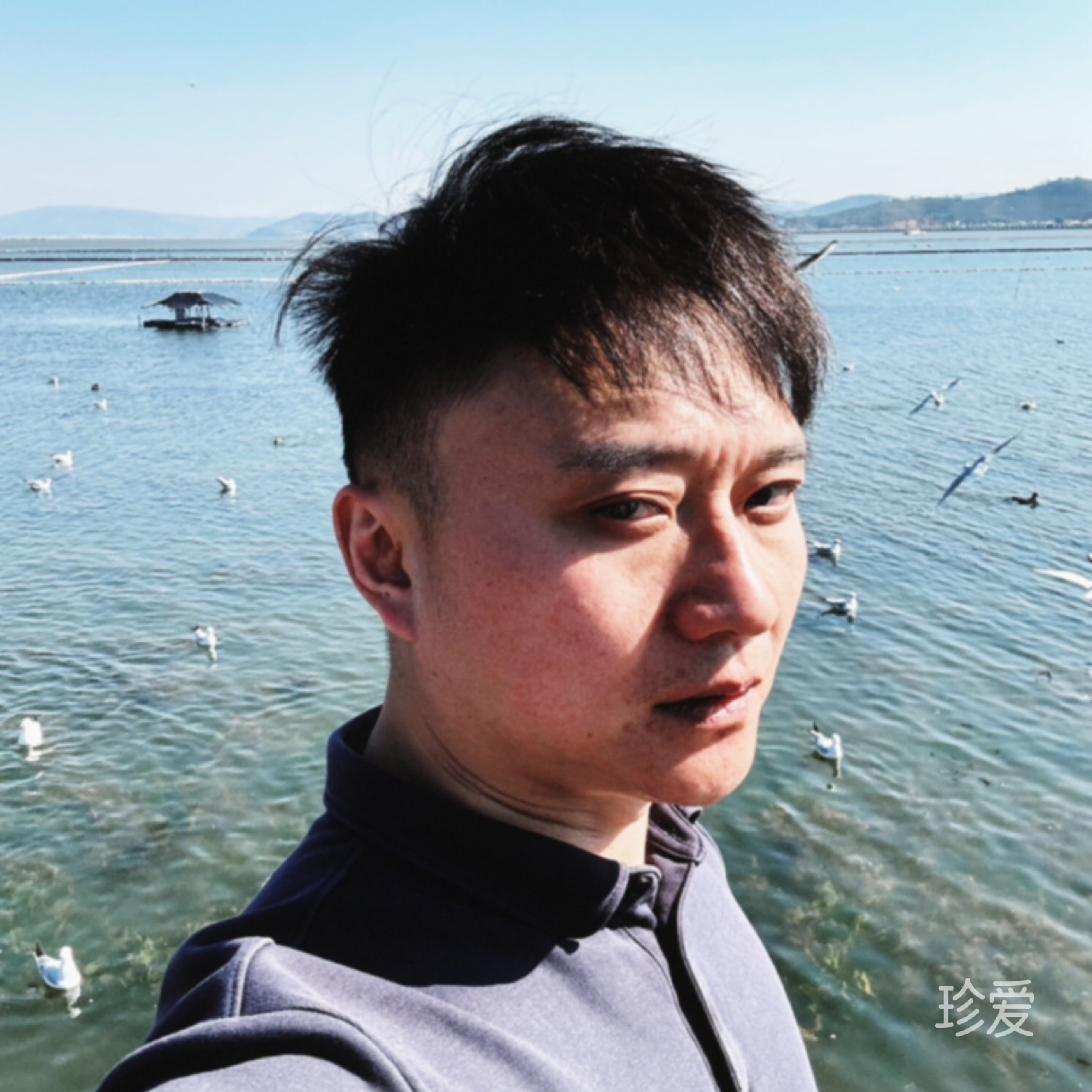 萧峰