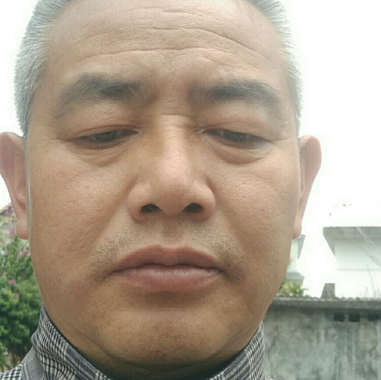 山楂樹(shù)之戀