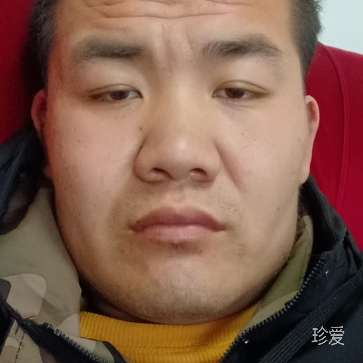 孤独枫