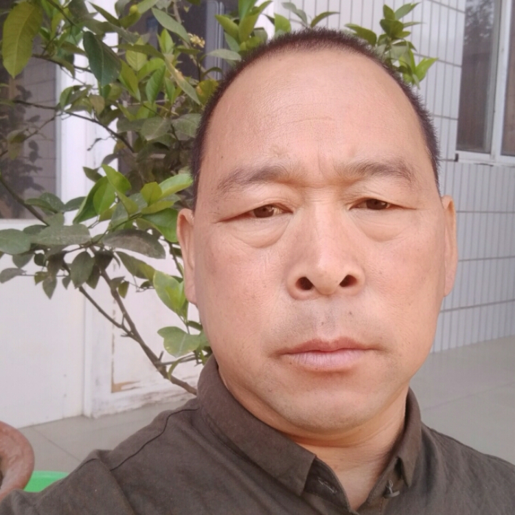 余生只為你而活