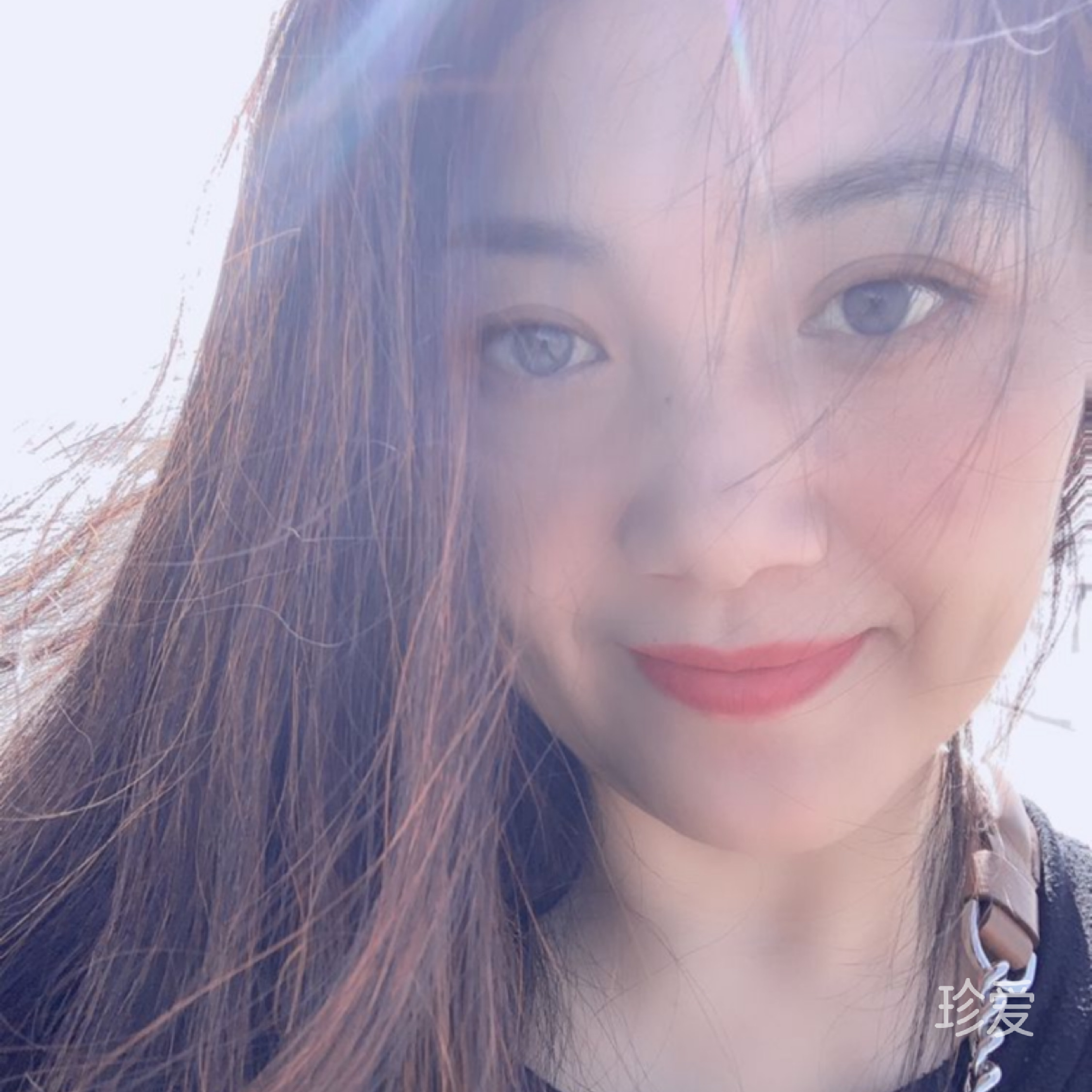 北美海棠