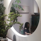 清河滴露