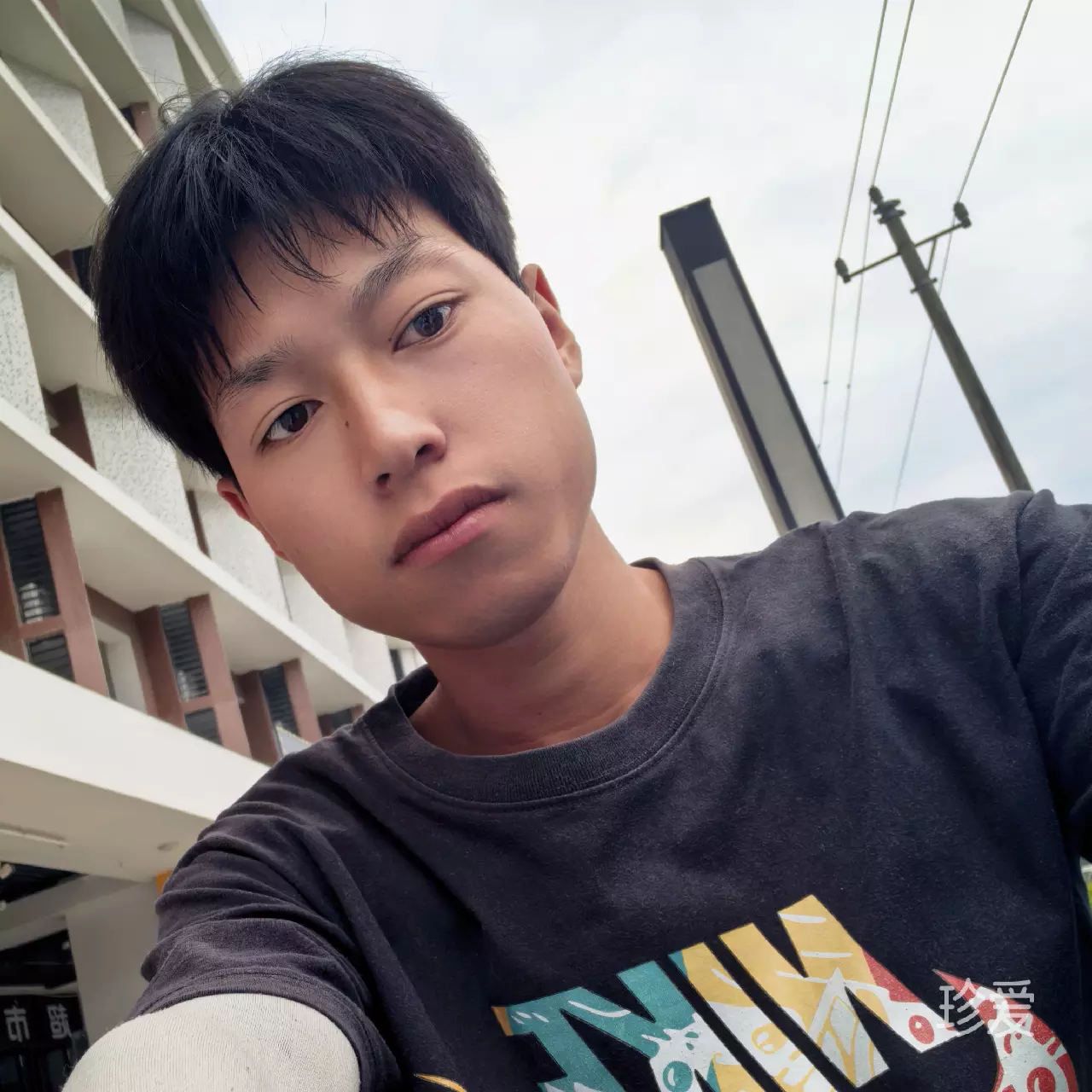 十一