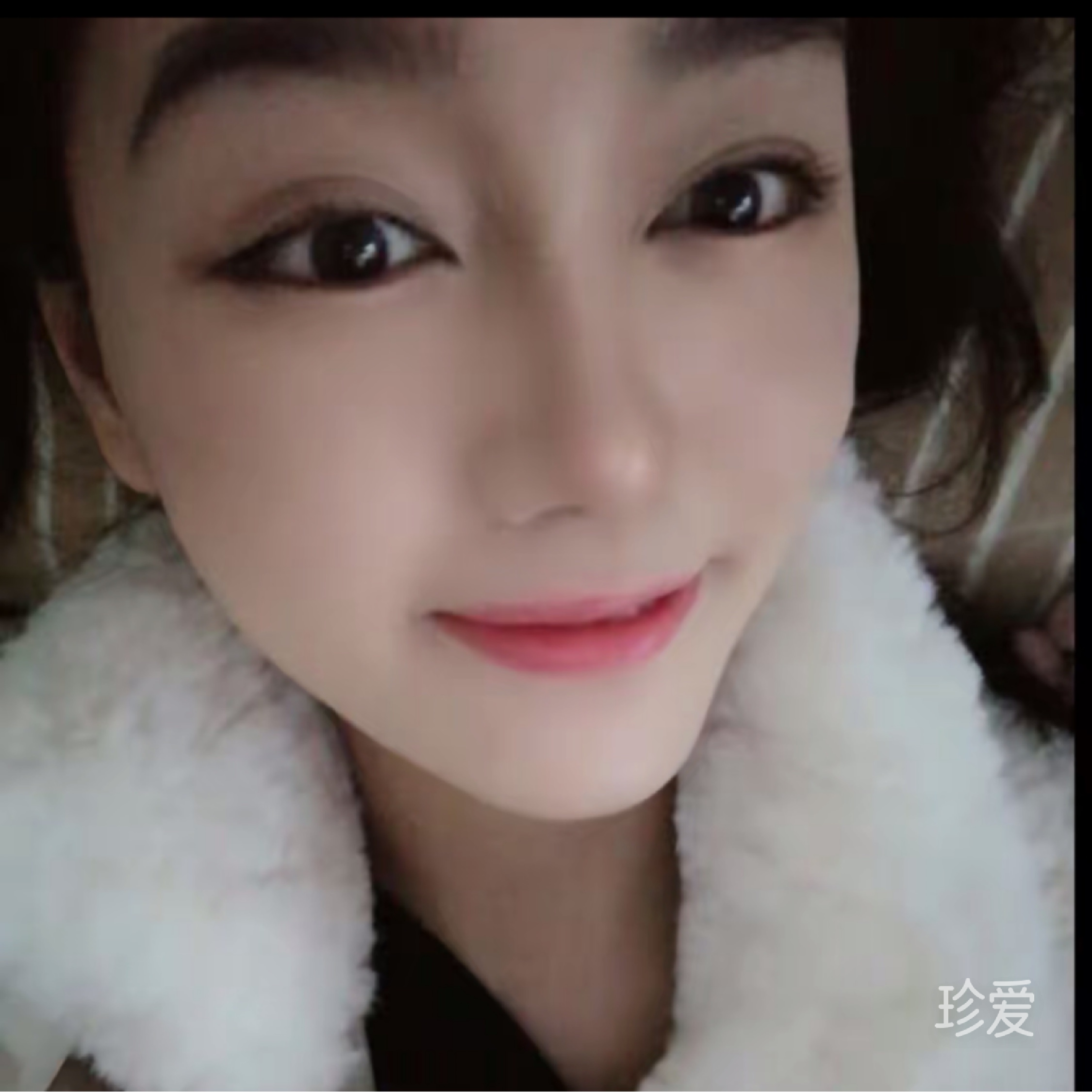 風(fēng)中的小葉子