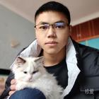 孤獨的小狼崽