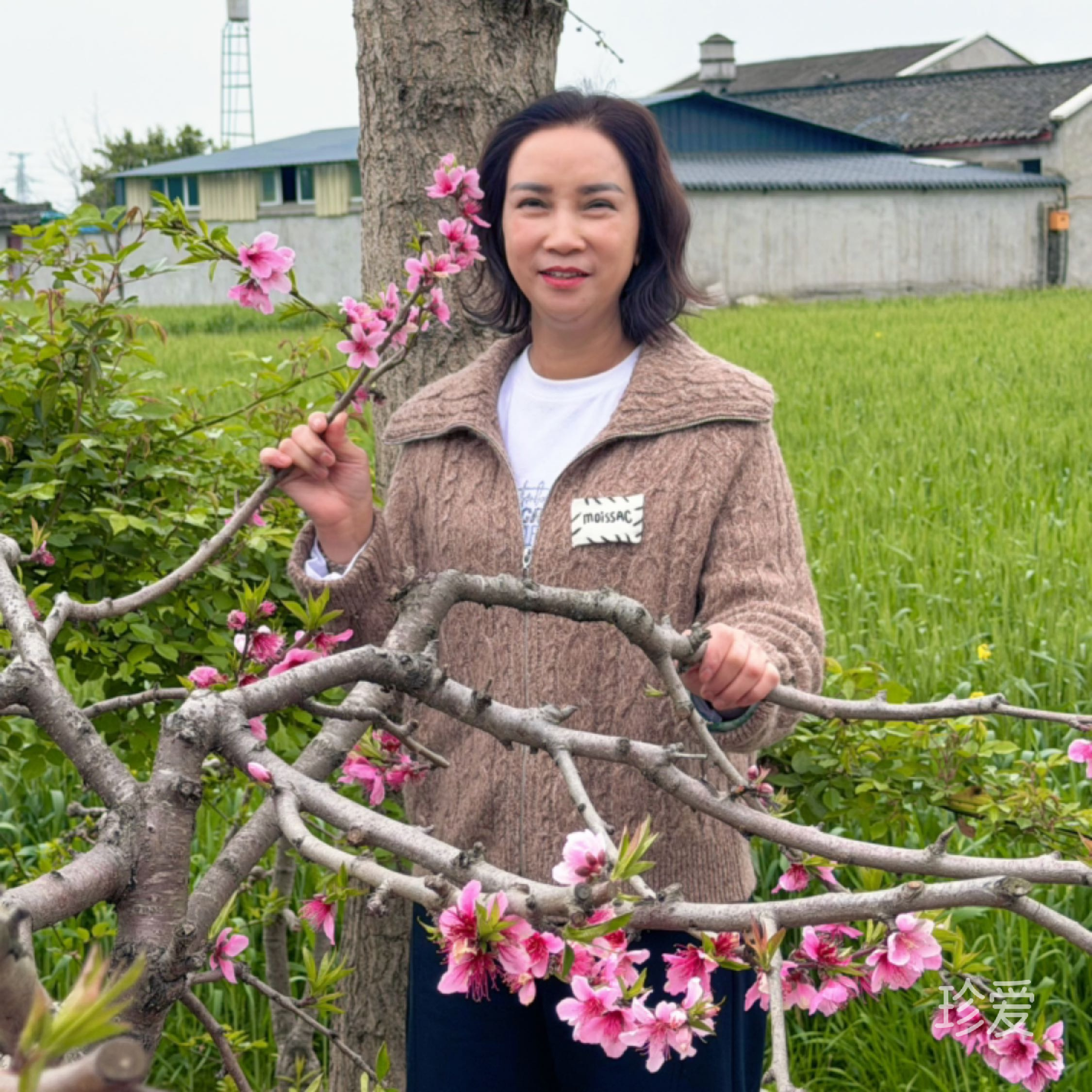 芳华一世