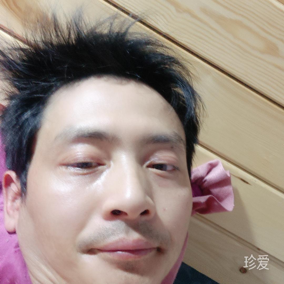 大漠骆驼