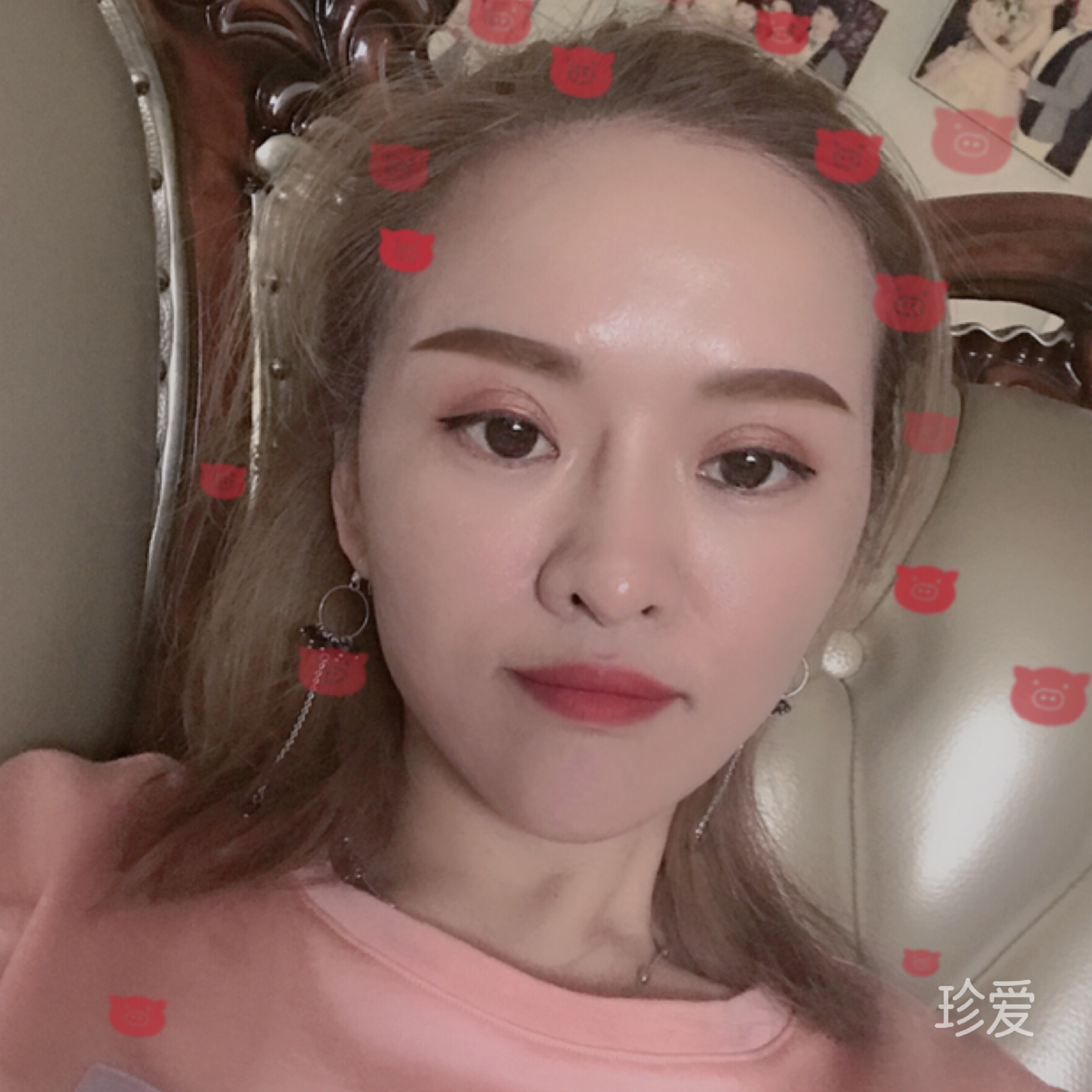 毛毛虫