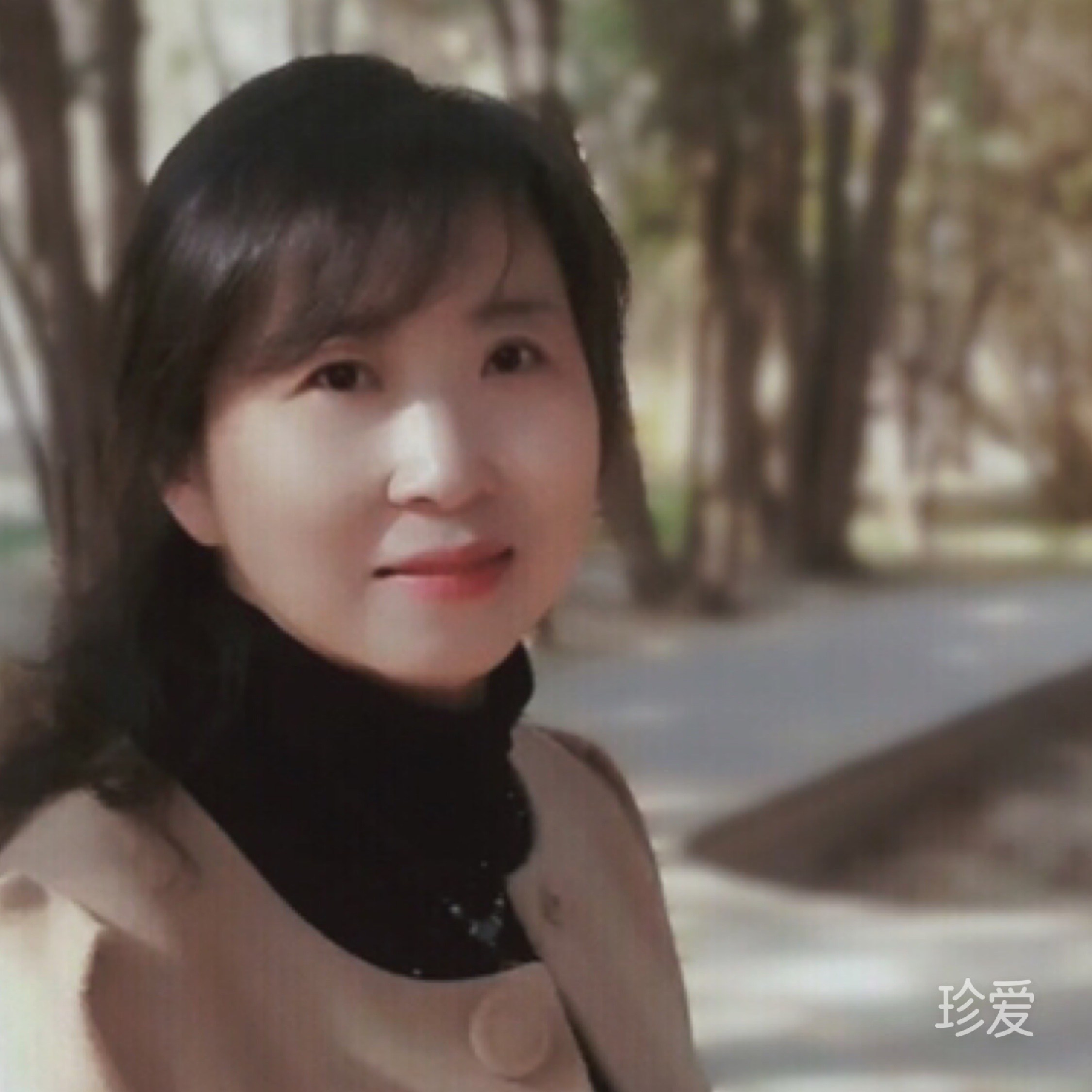 共剪轻琼做物华