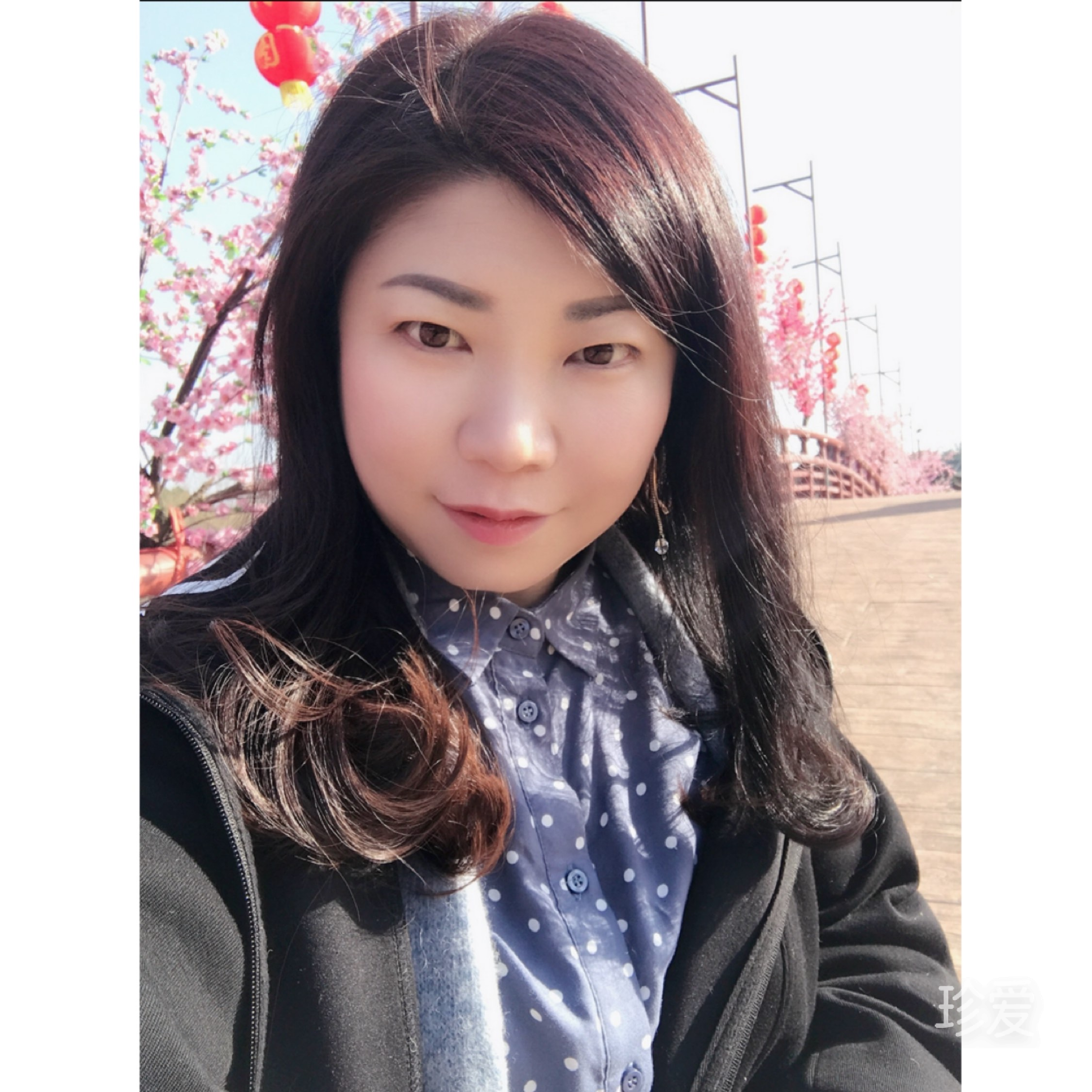 玫瑰