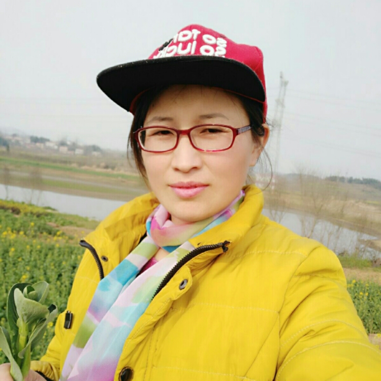 梦里花落知多少