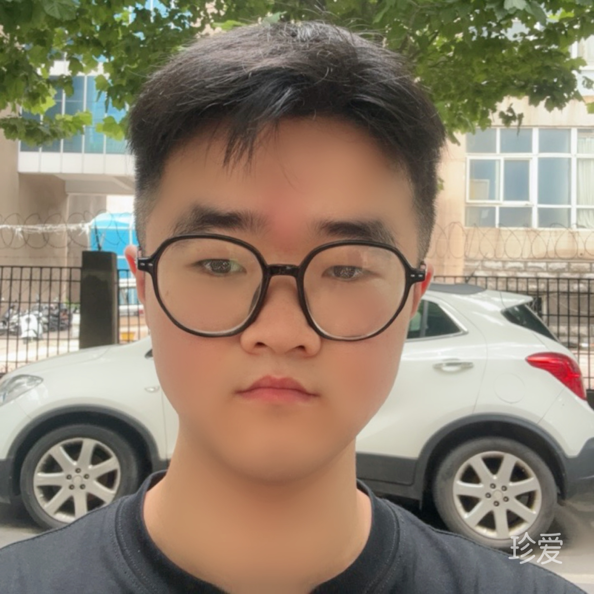 大鲨鱼