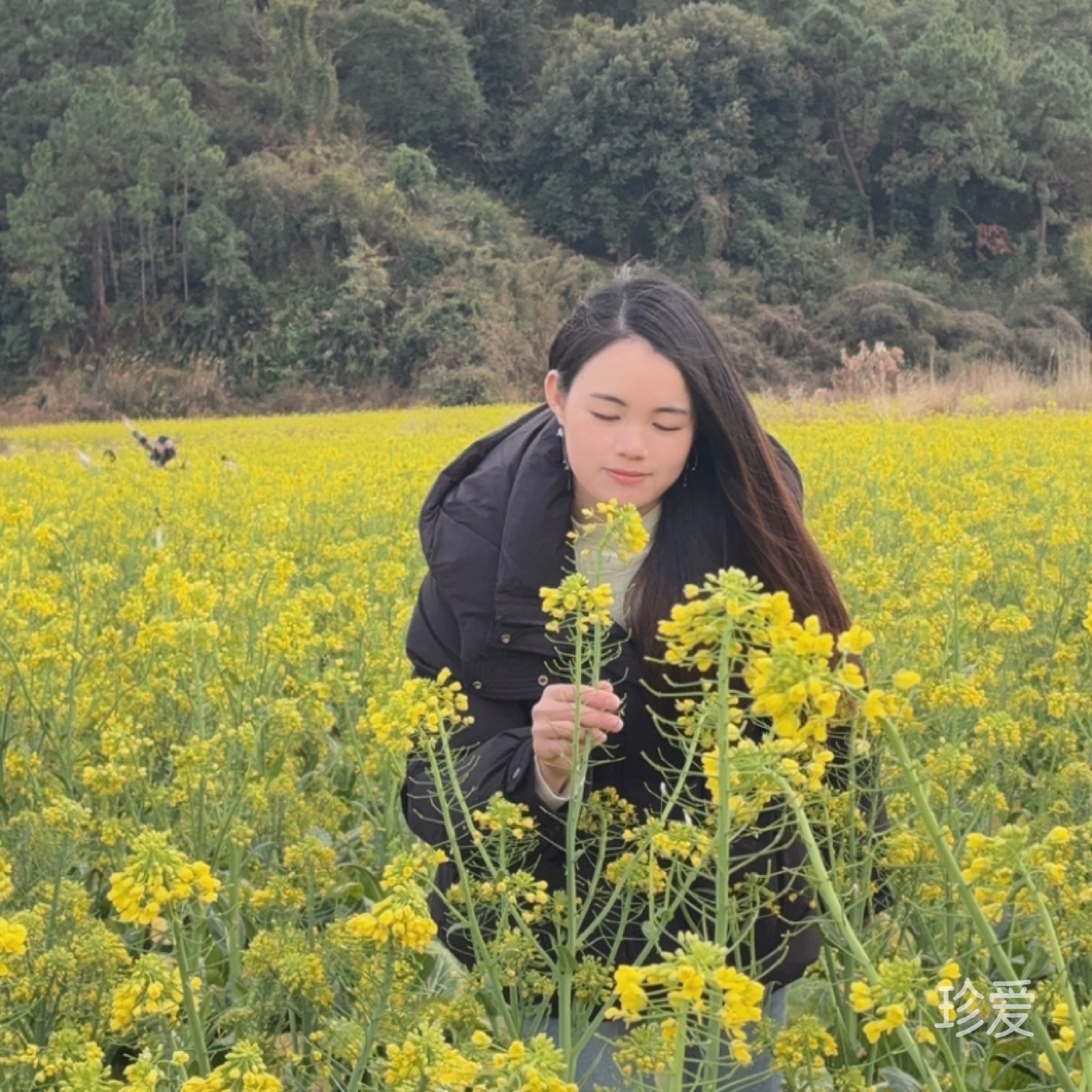 落花有意隨流水