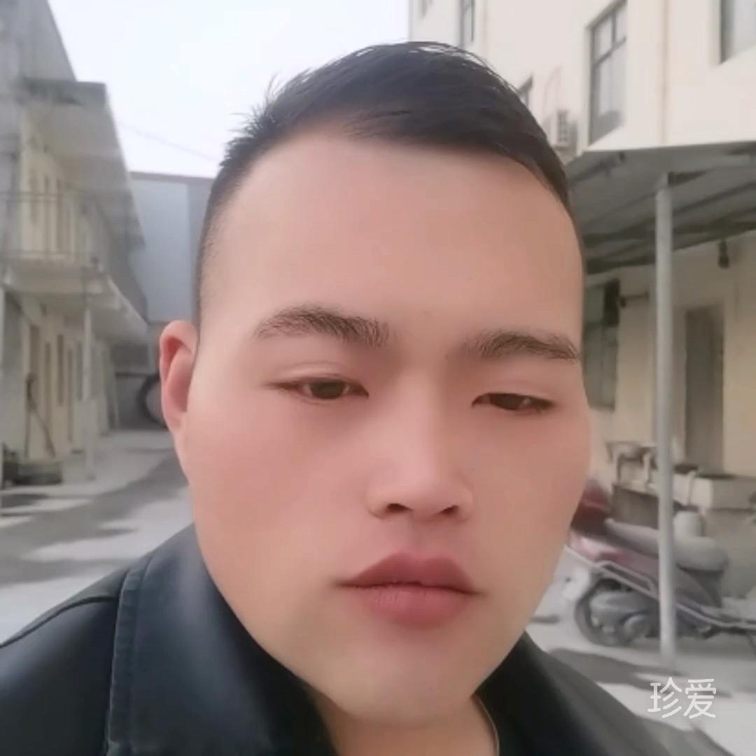 醉卧风尘