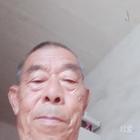 軒偉