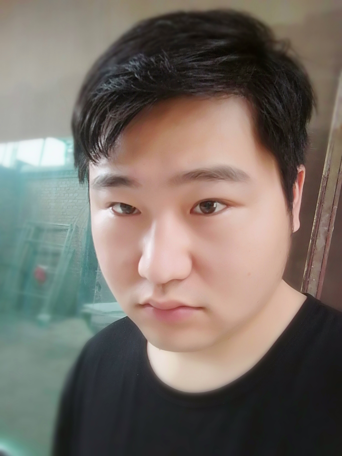 寻找人生的伴侣