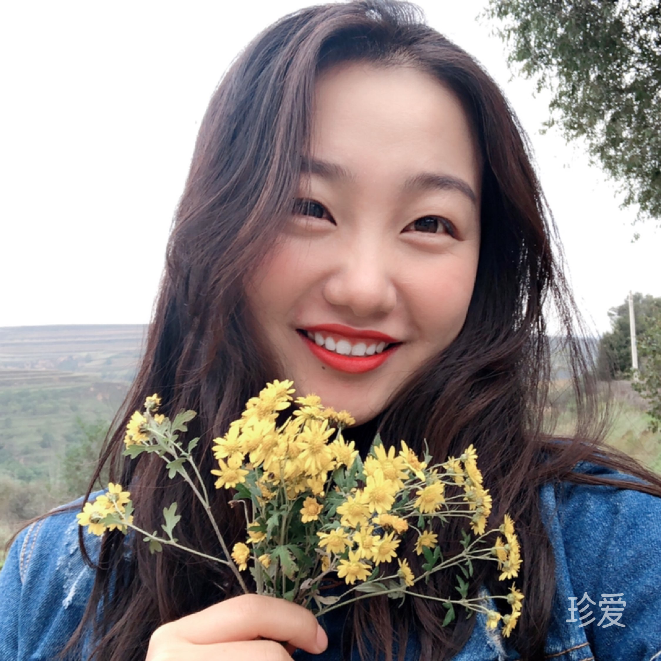 琴声私语