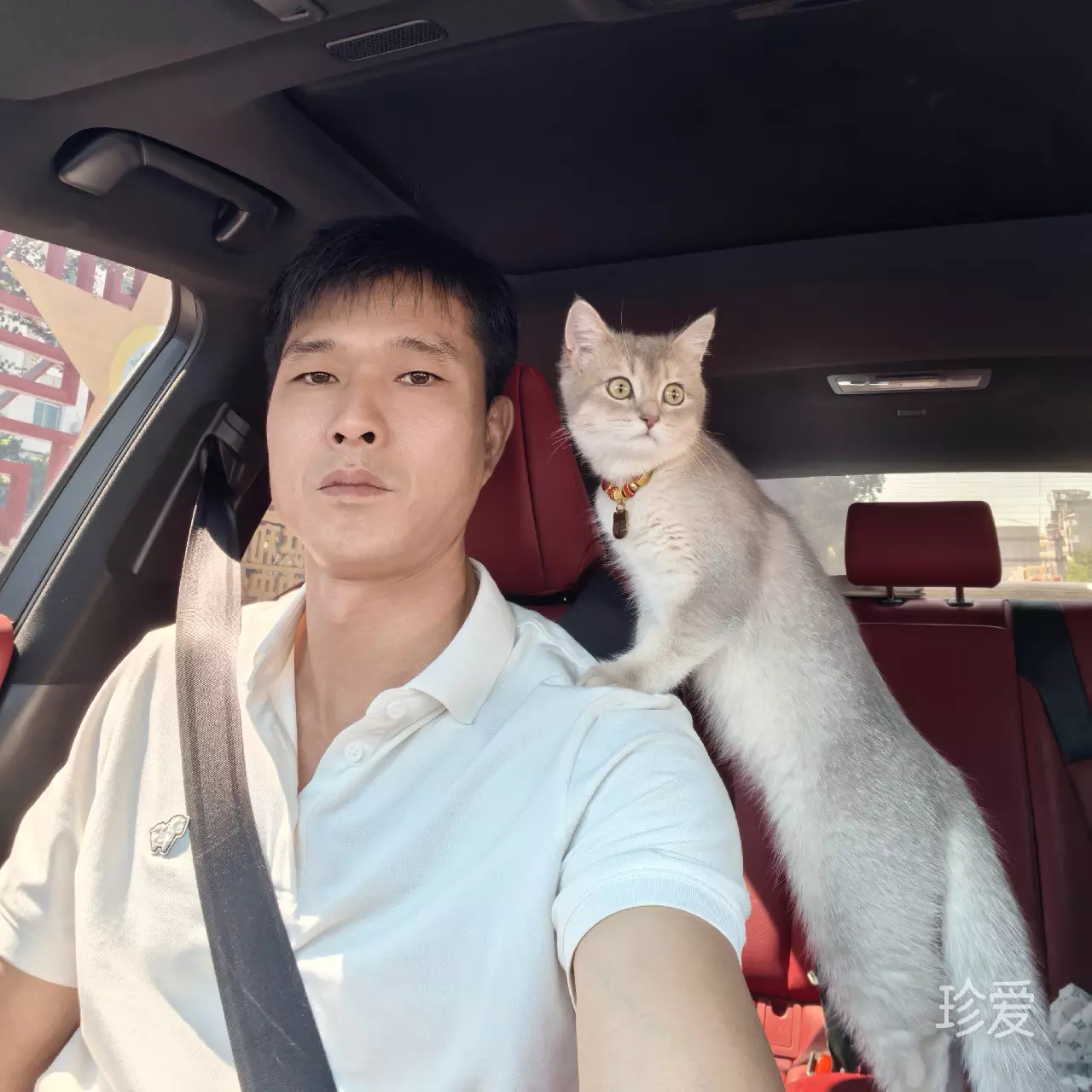 做一个梦给你