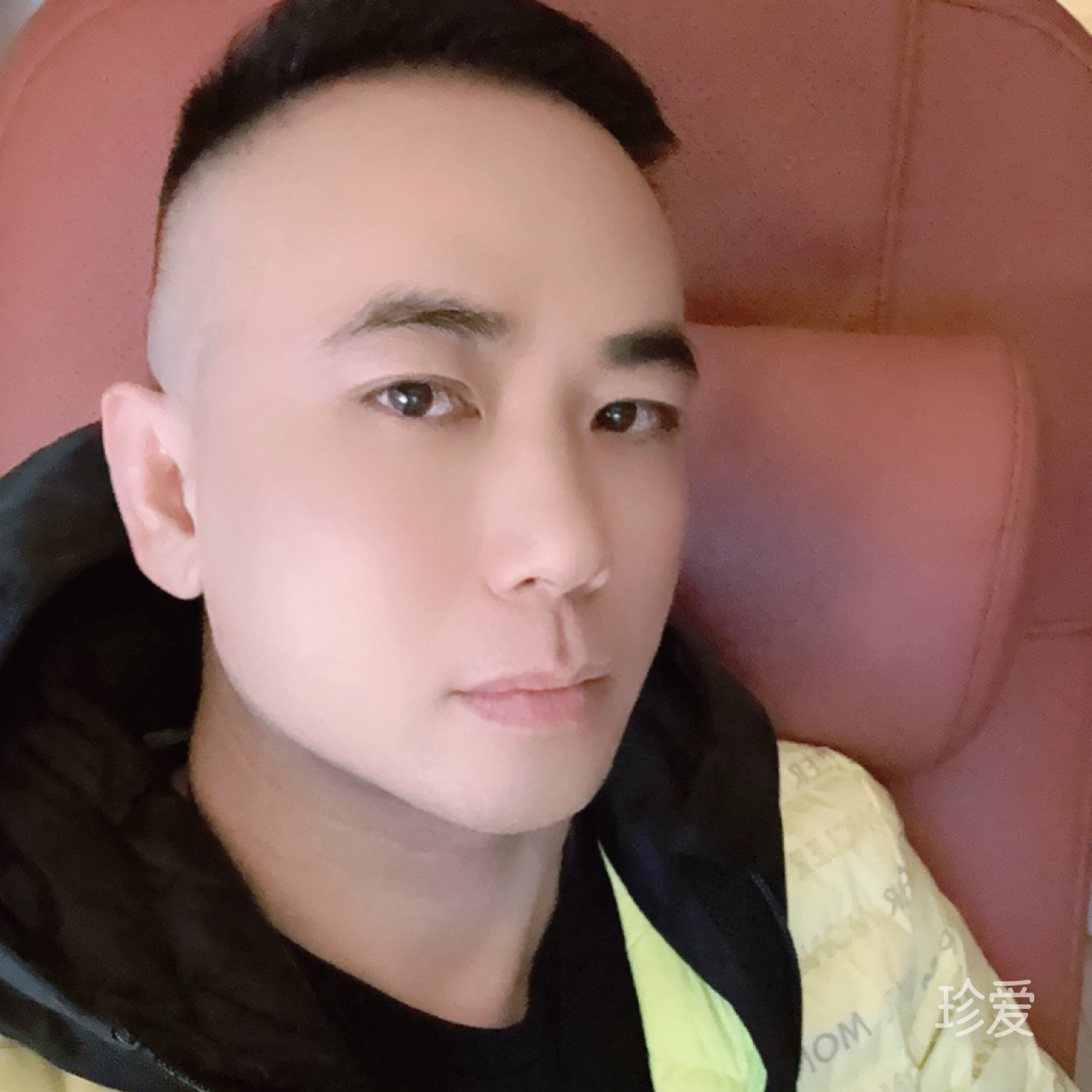 清风疏影