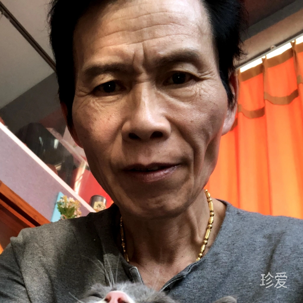 会员1628130741