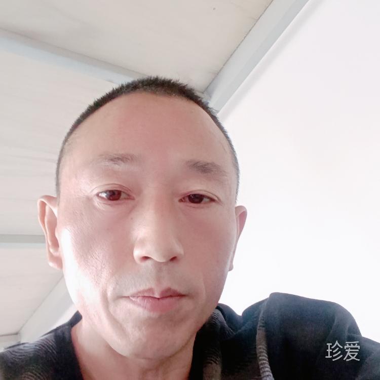 傲雪寒梅為君開