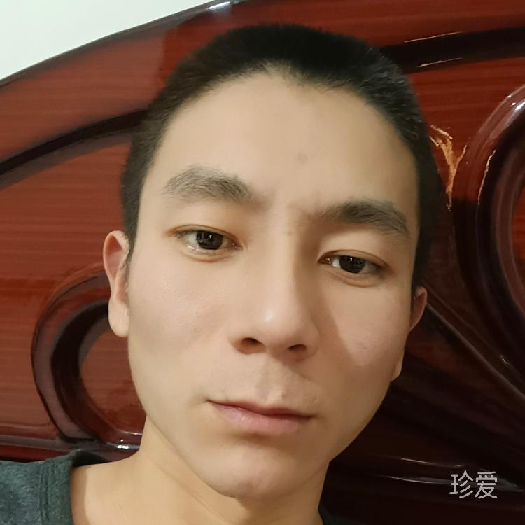 熊出没
