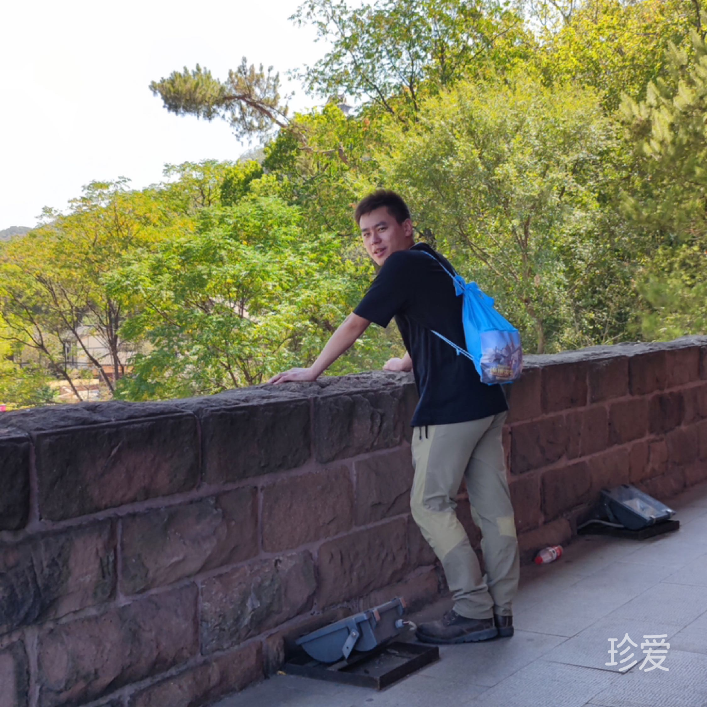 我的白月光在哪