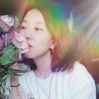 花好月圓