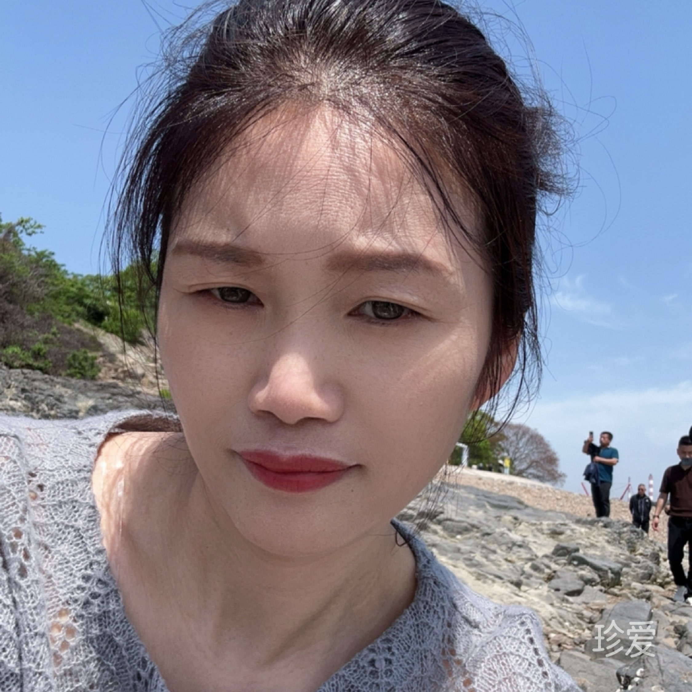 海棠花瘦