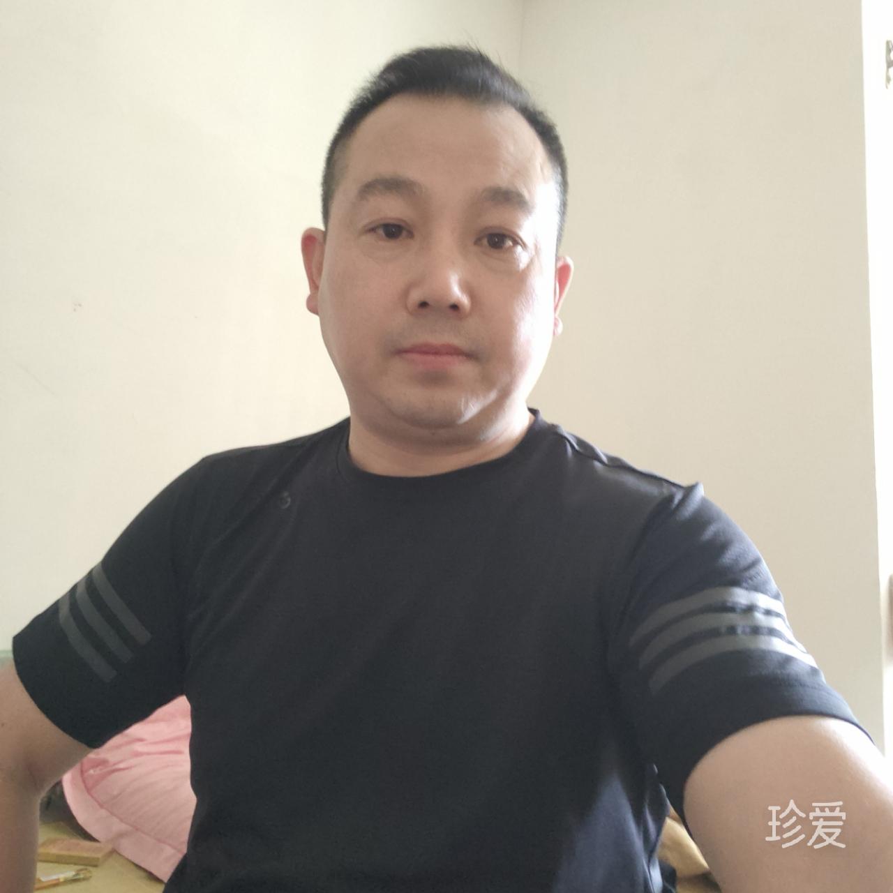 鱼森大紫