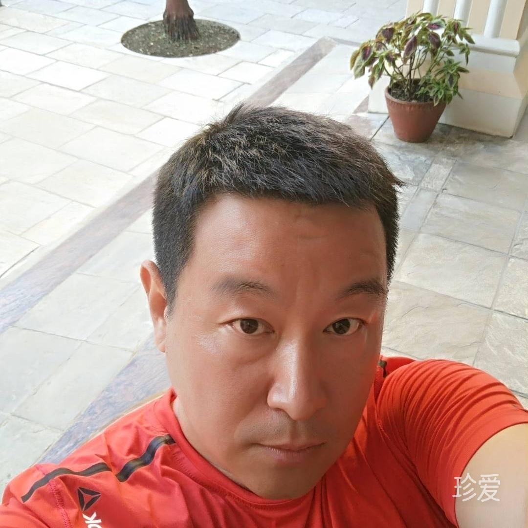 绿树森林