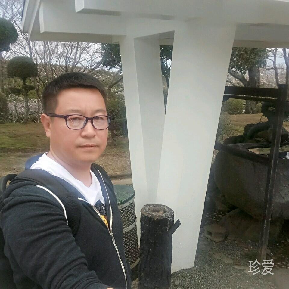 绿树森林