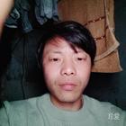 喜欢爱情