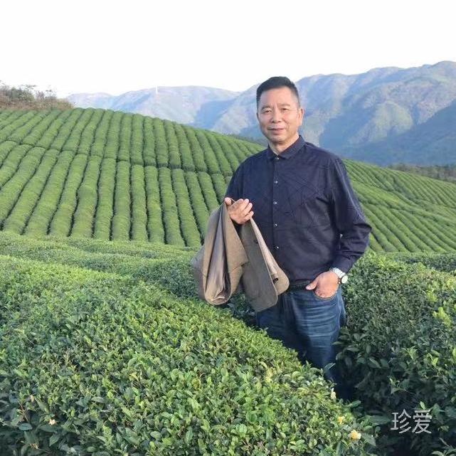 日出东方