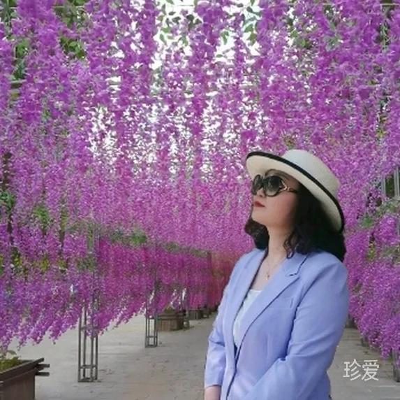 花开云舒