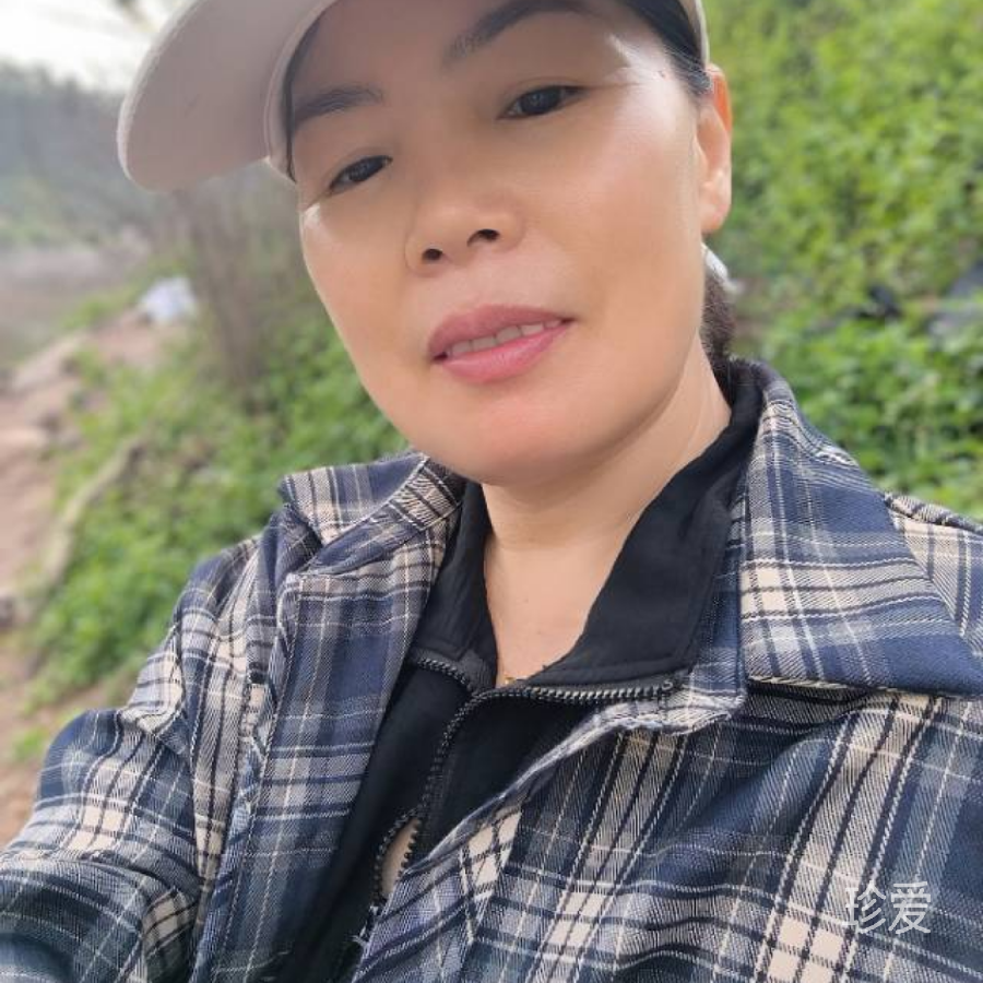 无忧草