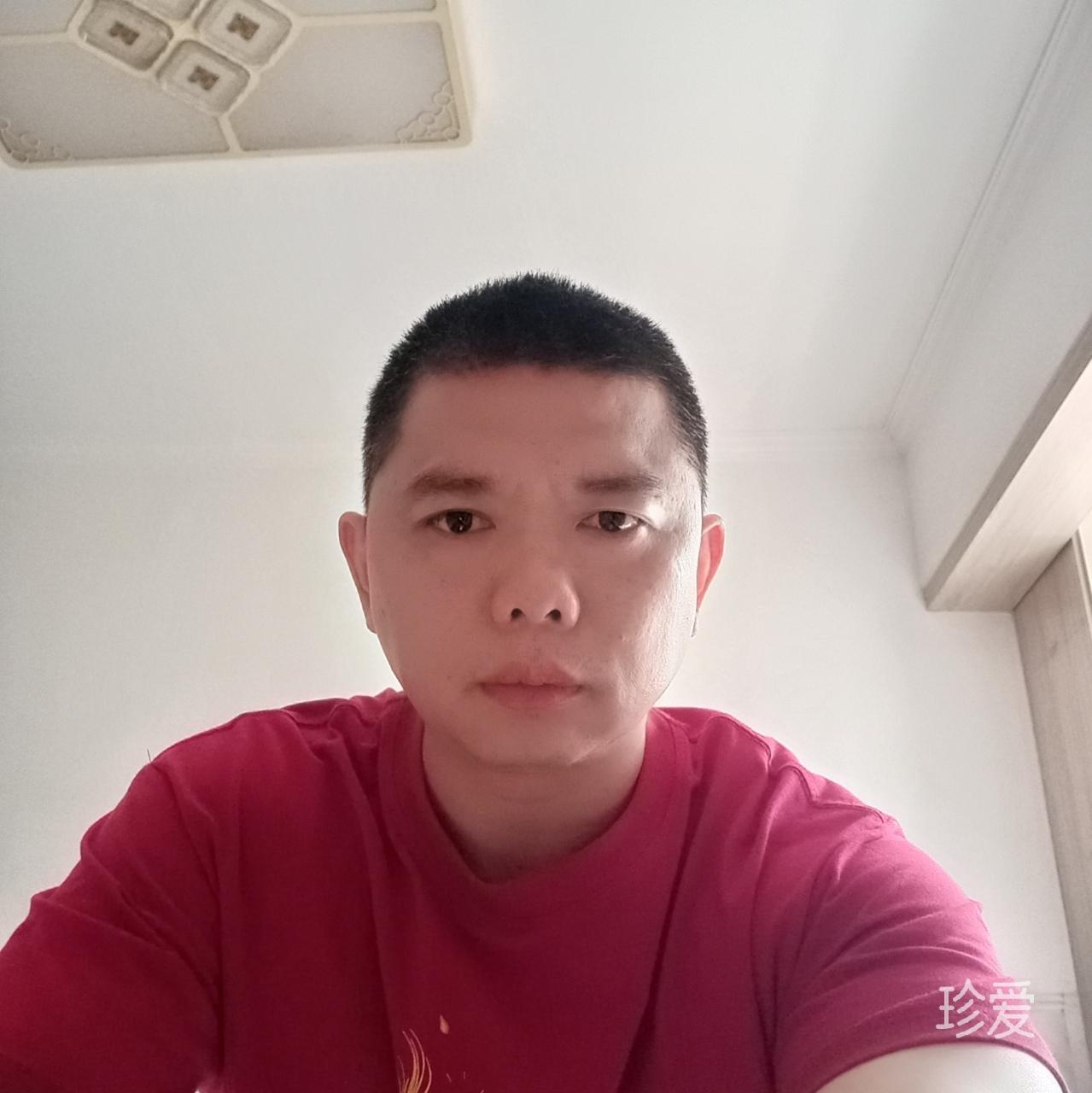 平淡的绿叶