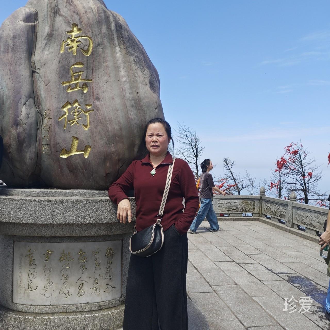 共剪轻琼做物华