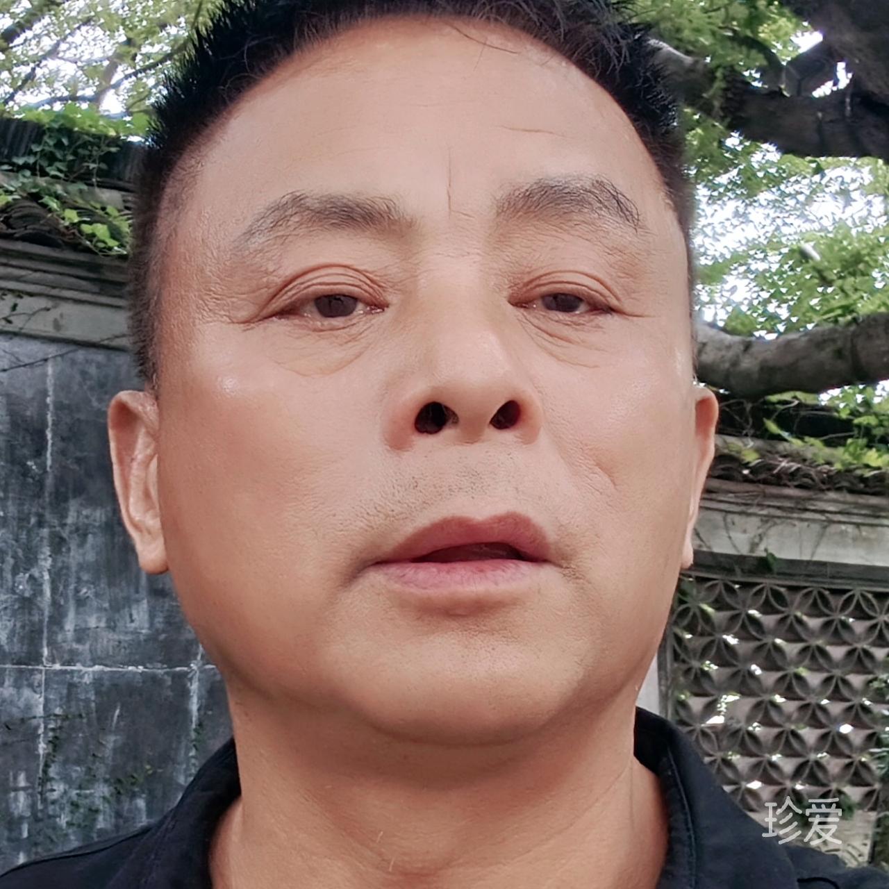 兴奋之狼