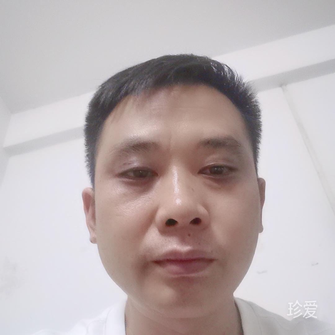 一网情深