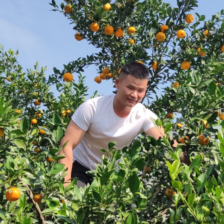 細(xì)看頭像只為等你