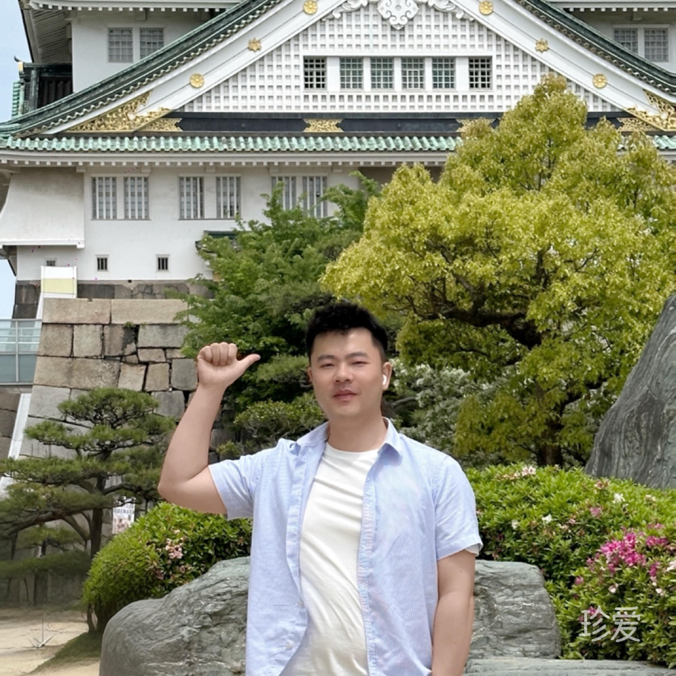 一直随风飘