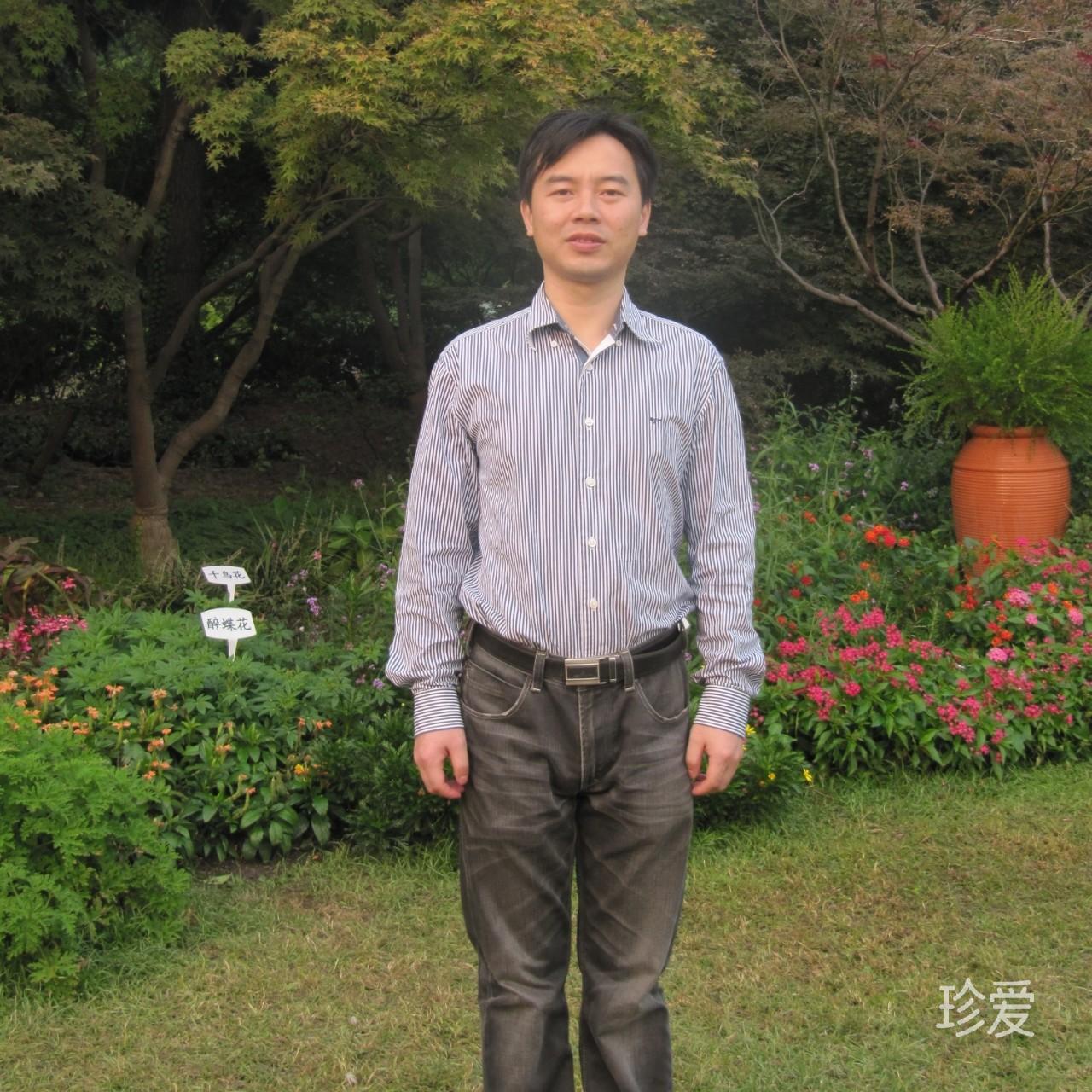 苹果