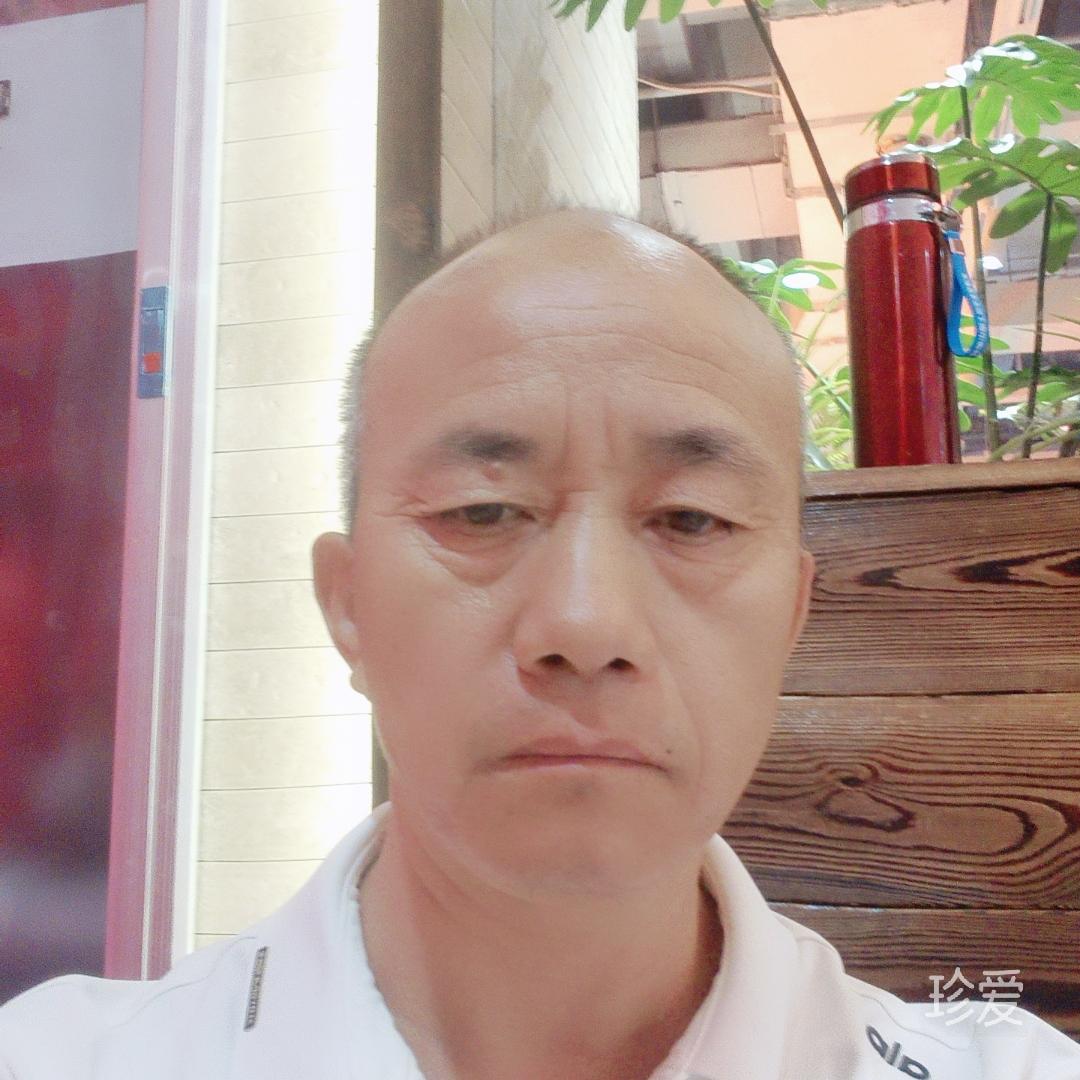 美好的四季