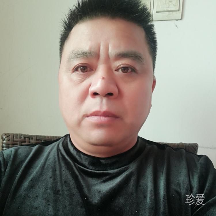 左岸的咖啡