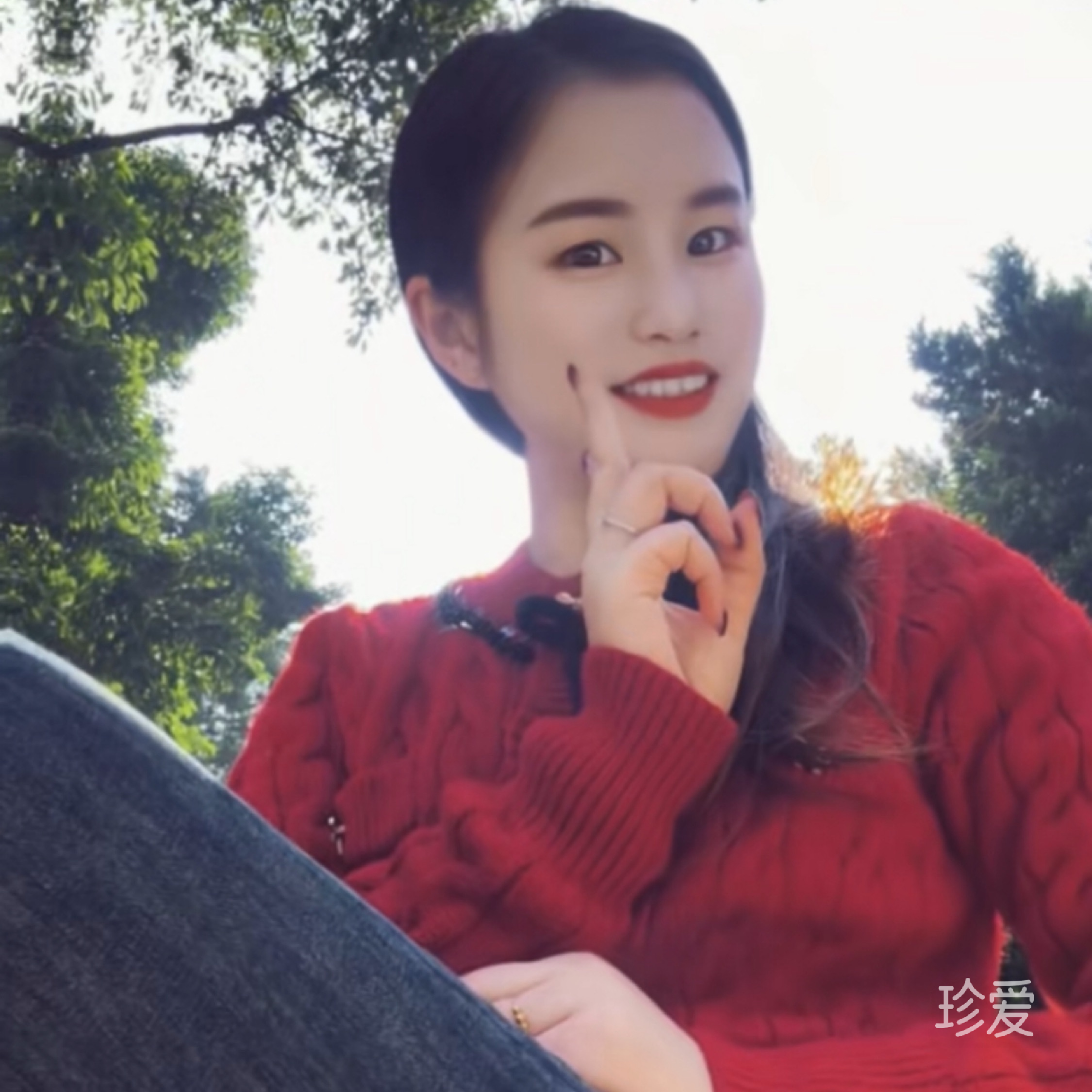 紫色玫瑰